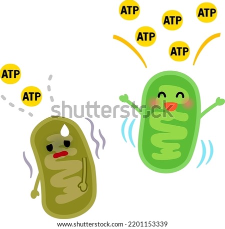 Healthy mitochondria and tired mitochondria Royalty-Free Stock Photo #2201153339