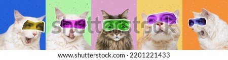 Collage with images of cute cats with human eyes expressive different emotion isolated over colored background. Animals with human facial expression. Concept of surrealism, fun, creativity