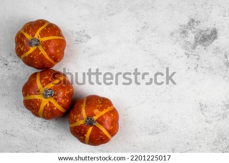 Thanksgiving or harvest flatlay with pumpkins on white concrete background.Template with place for text.Selective focus.