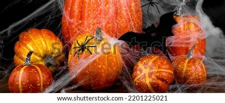 halloween and holiday decorations concept bat on spider web covering pumpkins