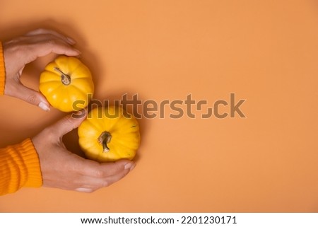 A small decorative pumpkins in a woman's hand in a sweater top view on an orange background. Copy space.