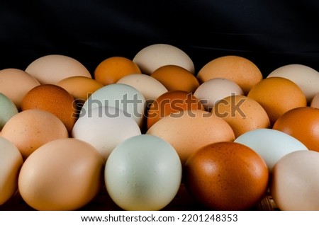Chicken eggs of different colors on a black background .