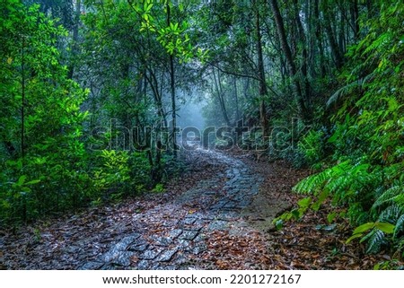 BEAUTIFUL LANDSCAPE PHOTOGRAPHY OF WARK ROAD IN BACH MA NATIONAL PARK, HUE, VIETNAM