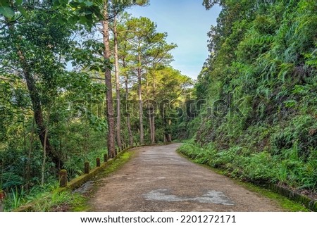 BEAUTIFUL LANDSCAPE PHOTOGRAPHY OF WARK ROAD IN BACH MA NATIONAL PARK, HUE, VIETNAM