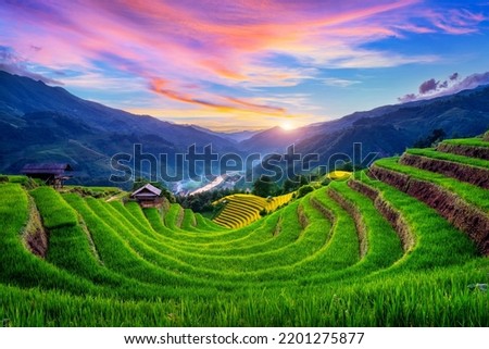 Beautiful Rice terraces at sunset in Mu cang chai, Vietnam. Royalty-Free Stock Photo #2201275877