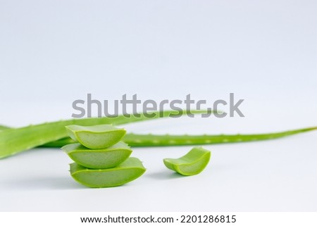 Top view of fresh aloe vera leaves. spa background concept.