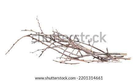 Dry branches, twigs isolated on white  Royalty-Free Stock Photo #2201314661