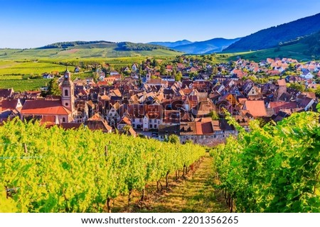 Riquewihr, France. Landscape with vineyards near the historic village. The Alsace Wine Route. Royalty-Free Stock Photo #2201356265