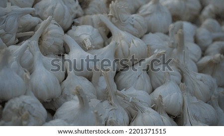closeup garlic select focus image