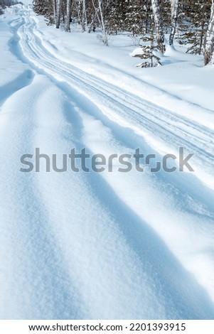 vertical photo of a winter landscape with a winter road through the forest. natural winter landscape