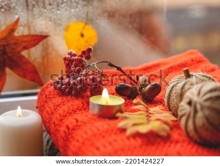 autumn leaves with an orange scarf a candle a cone acornes cinnamon pumpkin autumn berry anoce on the windowsill in rainy weather