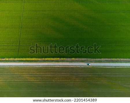 Top view of a rise field divided by a narrow country road