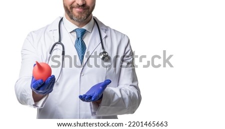 Man doctor crop view isolated on white. Doctor gastroenterologist in white coat