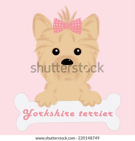 Cute puppy of yorkshire terrier