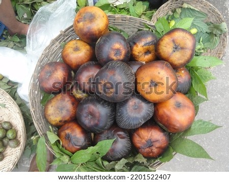 organic Borassus flabellifer of Bangladesh