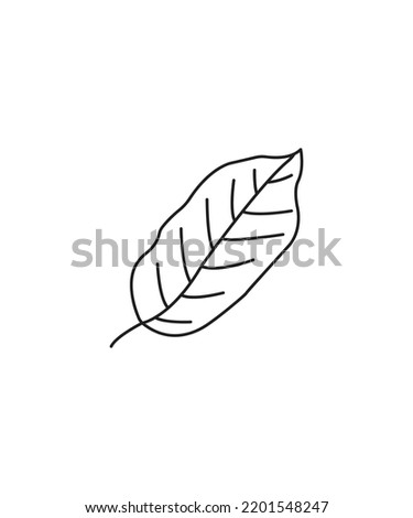 Outline of Leaf Icon isolated on a white background. line art vector illustration isolated 
