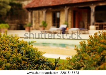 A clandestine view over a hedge in to the grounds of a luxury dwelling with a swimming pool. Royalty-Free Stock Photo #2201548623