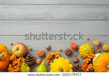 Autumn harvest concept. Top view photo of raw vegetables pumpkins pattypans apple pear walnuts rowan berries pine cones acorns and physalis on isolated grey wooden table background with copyspace