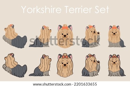 Simple and adorable Long Haired Yorkshire Terrier illustrations flat colored