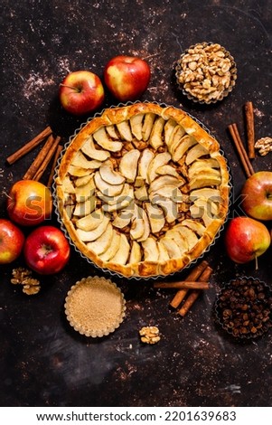 Homemade apple pie on dark rustic background, top view. Classic autumn dessert Royalty-Free Stock Photo #2201639683