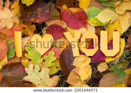 Cold snap, the onset of autumn. Letters Love You on the background of fallen leaves. Decorative lettering, autumn concept.
