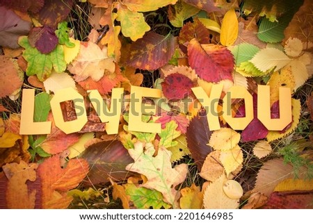 Letters Love You on the background of fallen leaves. Cold snap, the onset of autumn. Decorative lettering, autumn concept.
