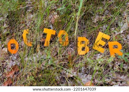 Letters October on the background of fallen leaves. Cold snap, the onset of autumn. Decorative lettering, autumn concept.
