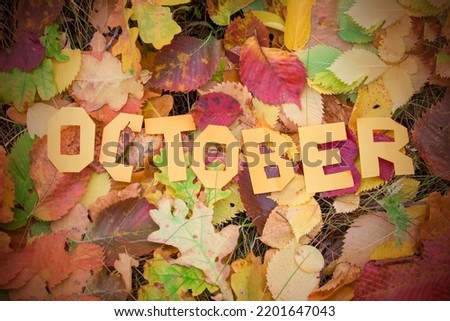 Letters October on the background of fallen leaves. Cold snap, the onset of autumn. Decorative lettering, autumn concept.