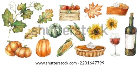 Watercolor illustration set with ripe pumpkin, corn, sunflowers, autumn leaves, apples, wine, pumpkin pie. Watercolor thanksgiving clip art. Farm harvest, Thanksgiving, Halloween, autumn gifts element