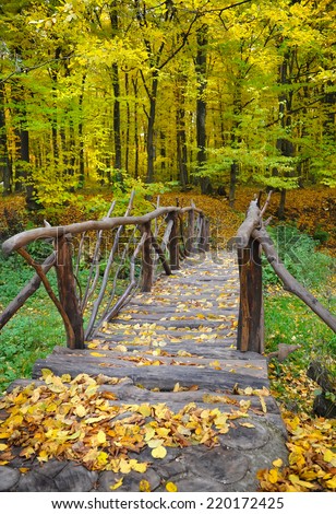 Bridge in bright autumn forest. Natural composition