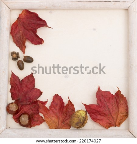 fall frame fall leaves decorated with wooden frame