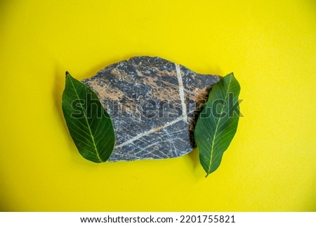 Stone showcase for perfume and cosmetic products. Top view podium with green leaves for product advertising montage.