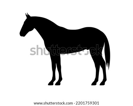 Silhouette of a horse. Vector illustration of black horse silhouette sign isolated on white. Logo icon side view, profile.