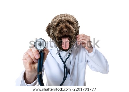 Listening to your heart beat. Creative portrait of male doctor, therapeutic headed of dog's head. Funny meme emotions. Concept of healthcare, medicine and humor. Copy space for ad, design.