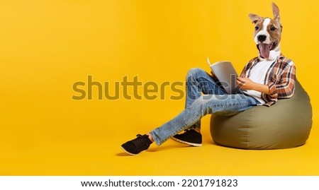 Rest time with books. Young man, student headed by dog head isolated on bright yellow background. Youth, fashion, emotions, surrealism concept. Trendy colors, copy space for ad.
