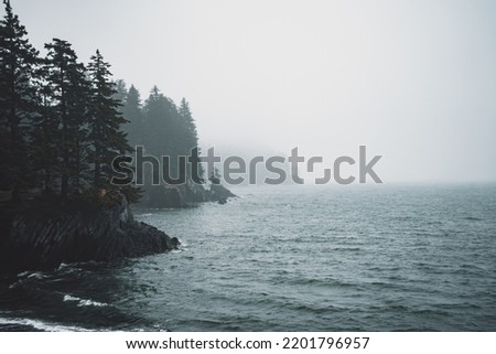 Alaskan Foggy Beach by the Sea Royalty-Free Stock Photo #2201796957