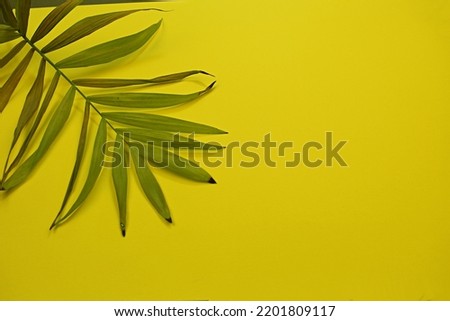 a flower leaf on a yellow background has a place for an inscription