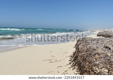 Sea waves on a soft yellow sandy beach