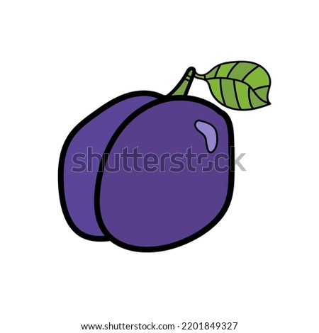 Plum fruit doodle clip art vector illustration isolated on white background. Tasty sweet fruit, healthy organic food nutrition diet, good for digestion laxative fruit. Violet plum outline vector icon.