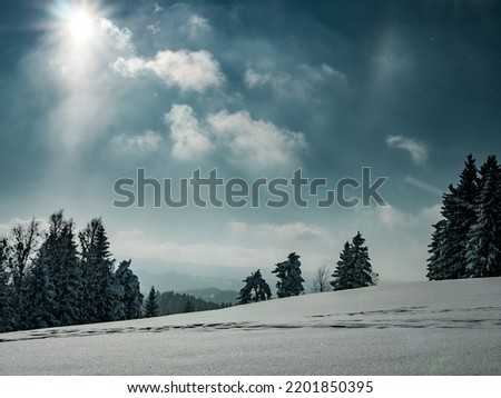 Snow-covered nature and trees in the Czech forest in winter. Royalty-Free Stock Photo #2201850395
