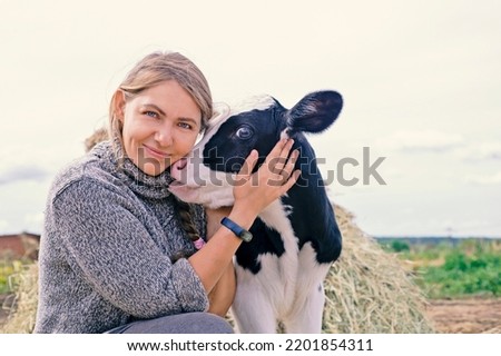 pretty black-white new born calf posing with farmer. close up  Royalty-Free Stock Photo #2201854311