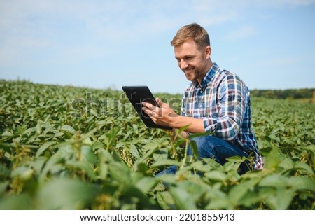 Young farmer in soybean fields.