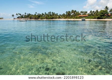 Beach, coconut trees and sea water in shades of blue and turquoise. Morro de Sao Paulo, Bahia, Brazil. 