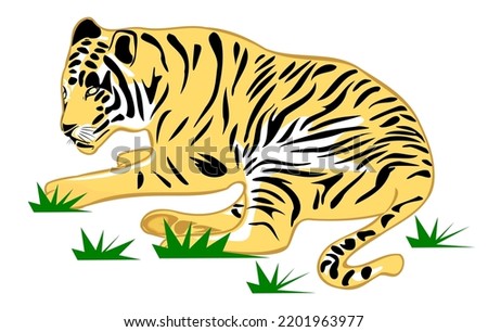 Tiger in the grass. Tiger vector on white background. Flat cartoon illustration.