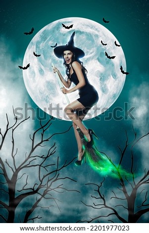 Creative abstract template graphics image of lady witch flying broom stick moonlight isolated drawing background