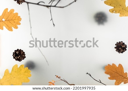 Autumn leaves on a hazy multi-level background, with natural elements, driftwood and branches. High quality photo