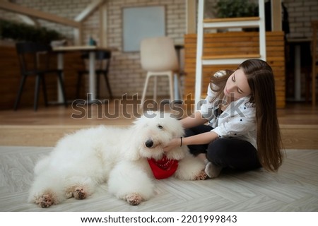 A young girl with standard poodle lying on the floor Royalty-Free Stock Photo #2201999843