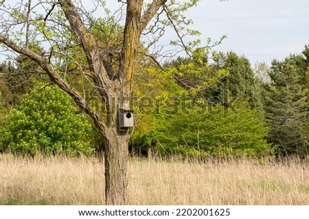 Landscape view of a wood duck house attached to a tree in a rural treelined prairie on a sunny day