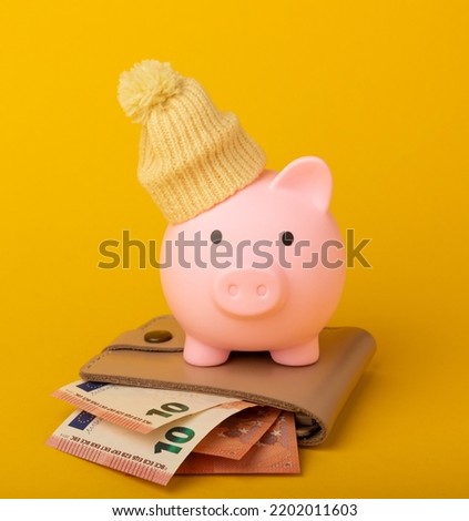 Savings concept. Piggy bank and money on a yellow textural background. A piggy bank in a warm winter hat that saves heat. The concept of saving heating. Place for text. copy space Royalty-Free Stock Photo #2202011603