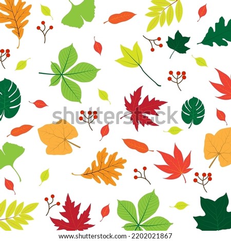 Leaf Stock Vector Illustration. Leaves Pattern on White Background.